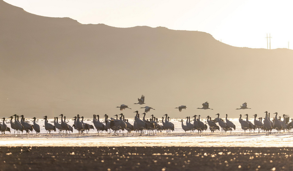 ����12��30���������������ػ�ͷɽˮ������ĺھ��ס�