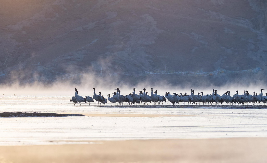 ����12��30���������������ػ�ͷɽˮ������ĺھ��ס�