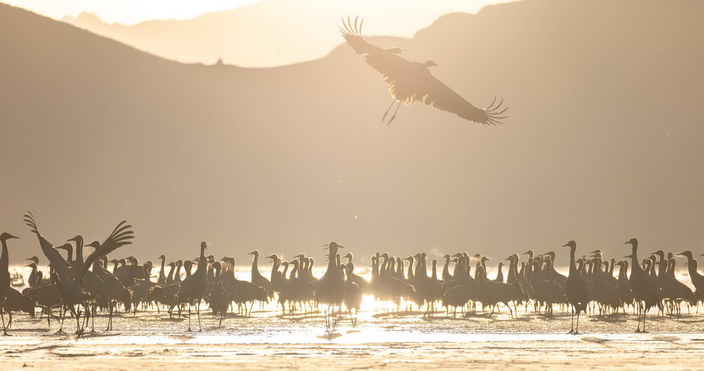 ����12��30���������������ػ�ͷɽˮ������ĺھ��ס�