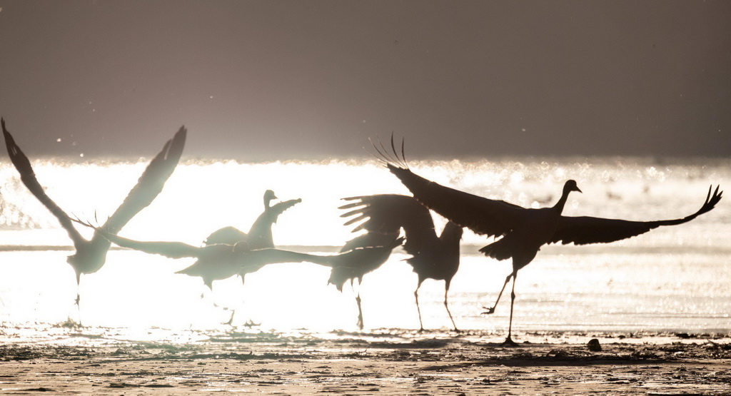 ����12��30���������������ػ�ͷɽˮ������ĺھ��ס�