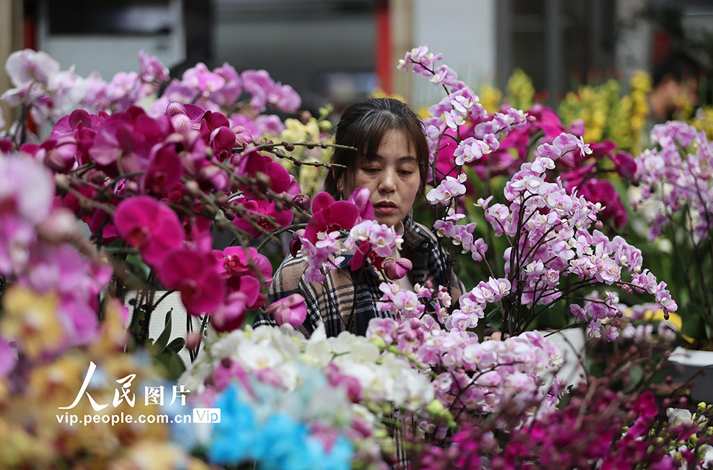 雲南昆明：新年鮮花俏銷【6】