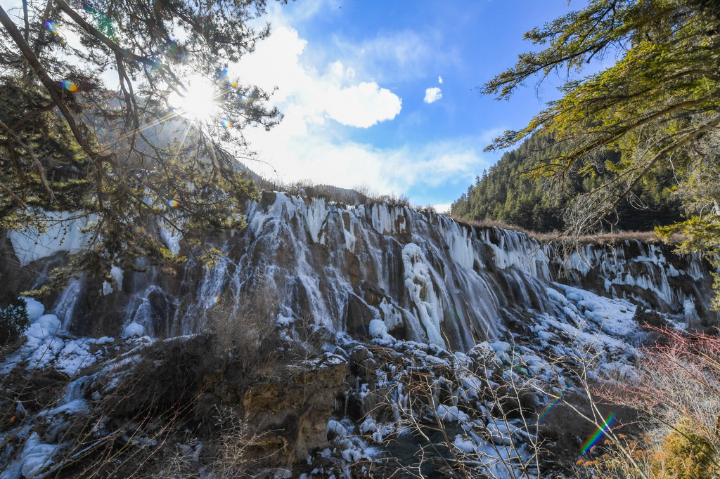 這是1月4日在四川省九寨溝風景名勝區拍攝的諾日朗瀑布形成的冰瀑景觀。