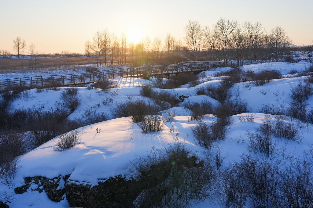 這是1月29日拍攝的五大連池世界地質公園冬日雪景。