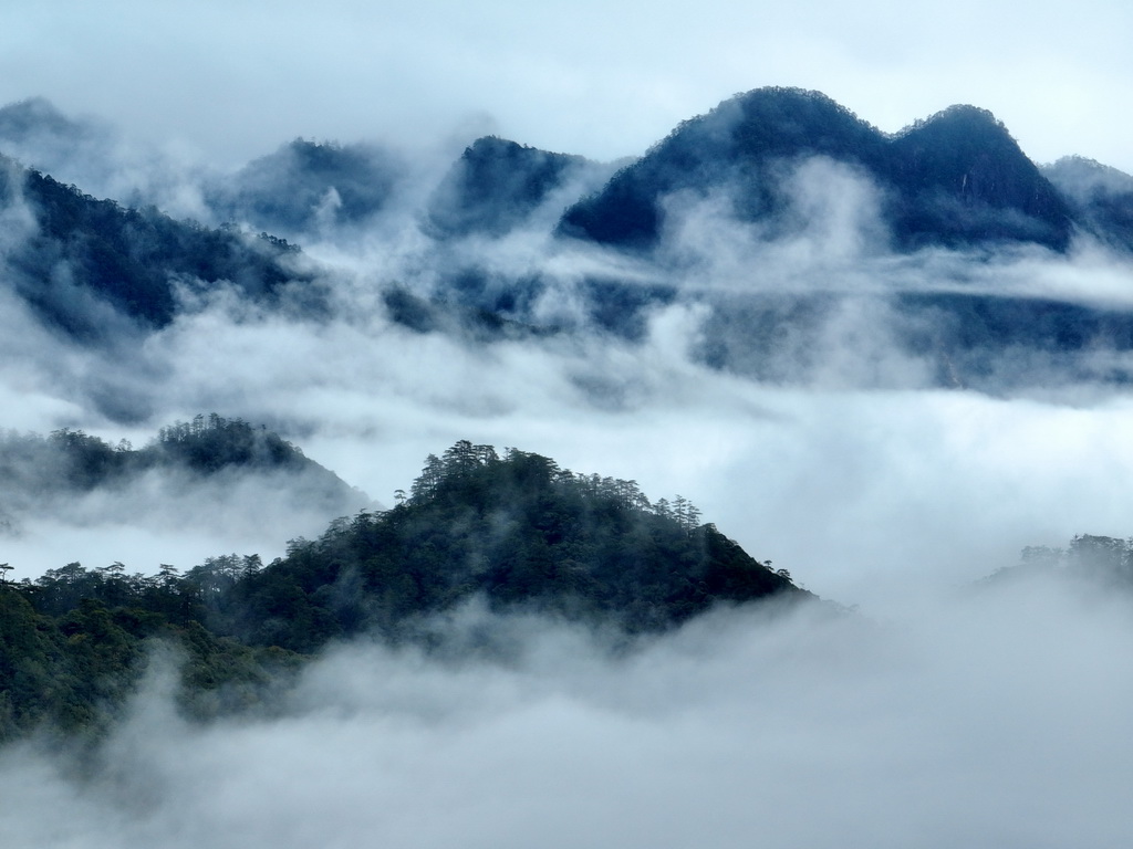 1月30日，武夷山國家公園桐木村周圍雲霧繚繞（無人機照片）。新華社發（陳穎 攝）