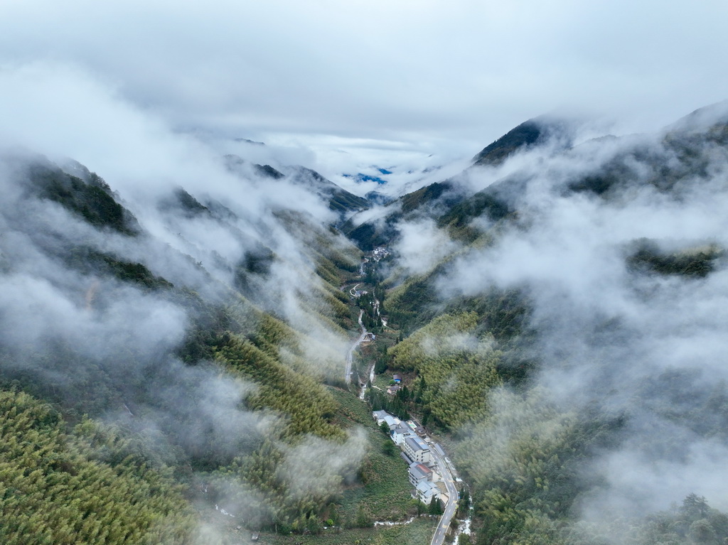1月30日，武夷山國家公園桐木村附近雲霧繚繞（無人機照片）。新華社發（邱汝泉 攝）