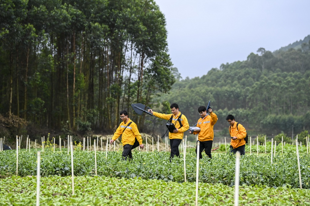 2��1�գ��й���·�����ּ������޹�˾����ͨ�ŶΡ������ߡ�����·�߸�����ũ������Ѱ�źŸ���Դ���»������ �ܵt�� ��