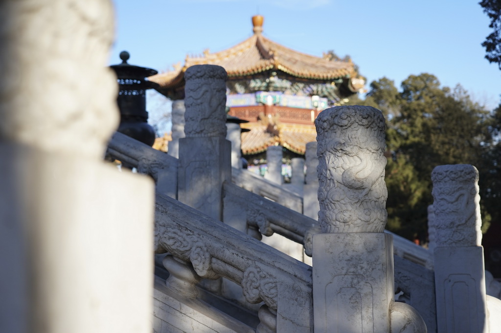 這是景山壽皇殿漢白玉欄杆上雕刻的龍（1月23日攝）。新華社記者 陳鐘昊 攝