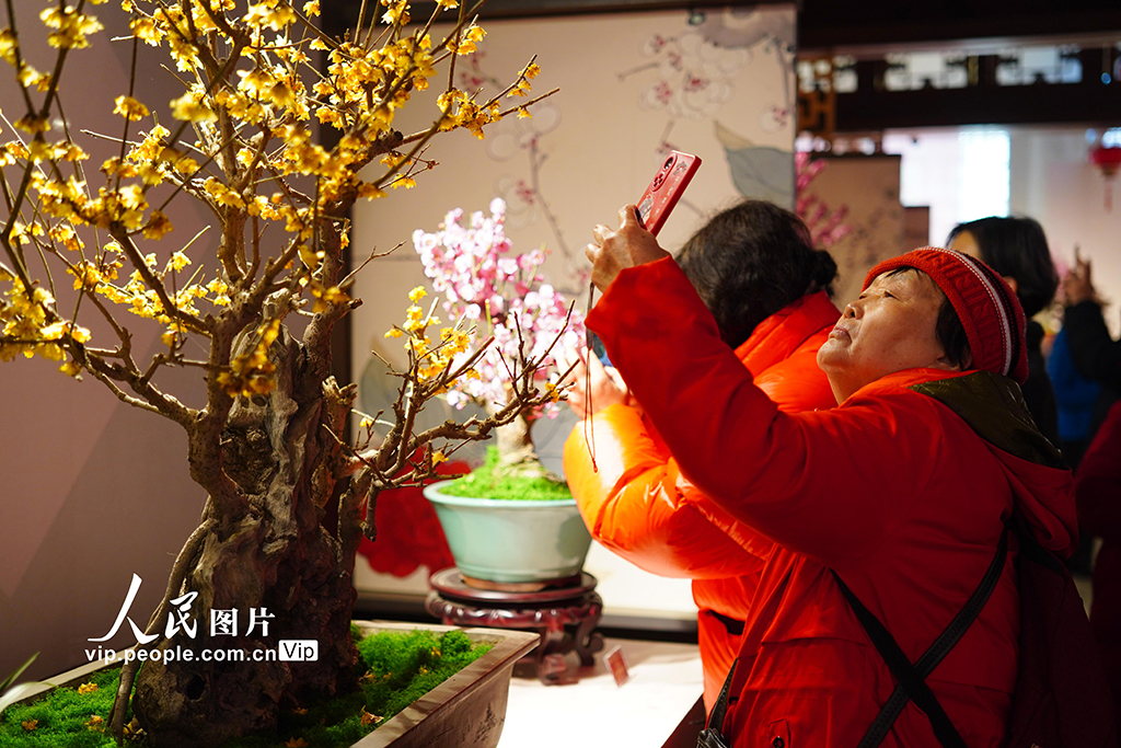 北京：頤和園“兩梅”文化展引客來
