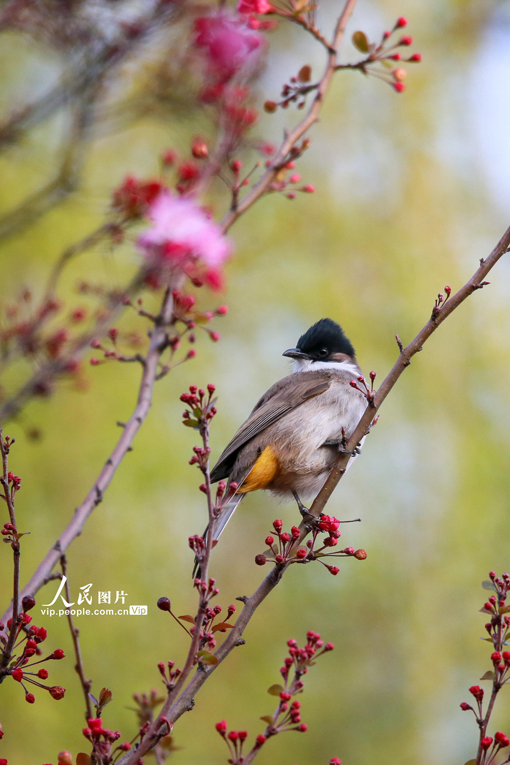 �������������ﻨ�㴺��Ũ��2��