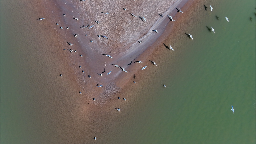 �ڻƺ����ĶΣ�������̲Ϳ�Ͽշ��裨3��1���㣬���˻���Ƭ����