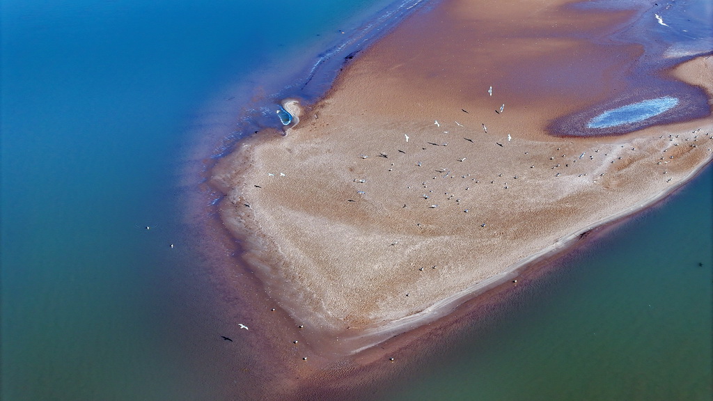 ����3��1������Ļƺ����ĶΣ����˻���Ƭ����