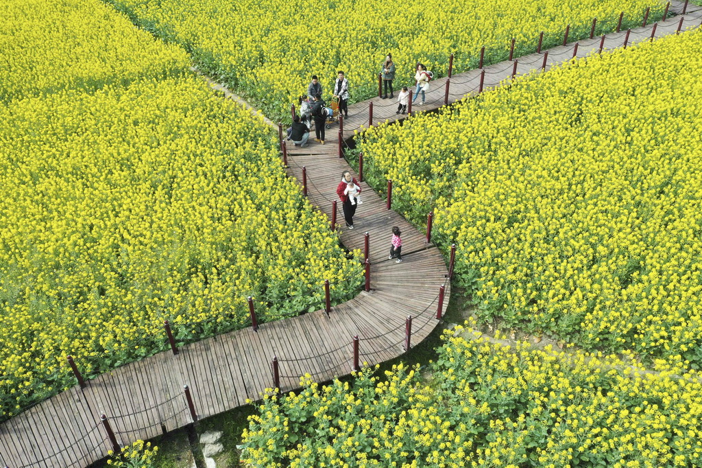 3��2�գ��ο��ڹ���ʡƽ����ƽ�����۴���Ͳ˻��������棨���˻���Ƭ�����»��緢��Фΰ�㣩