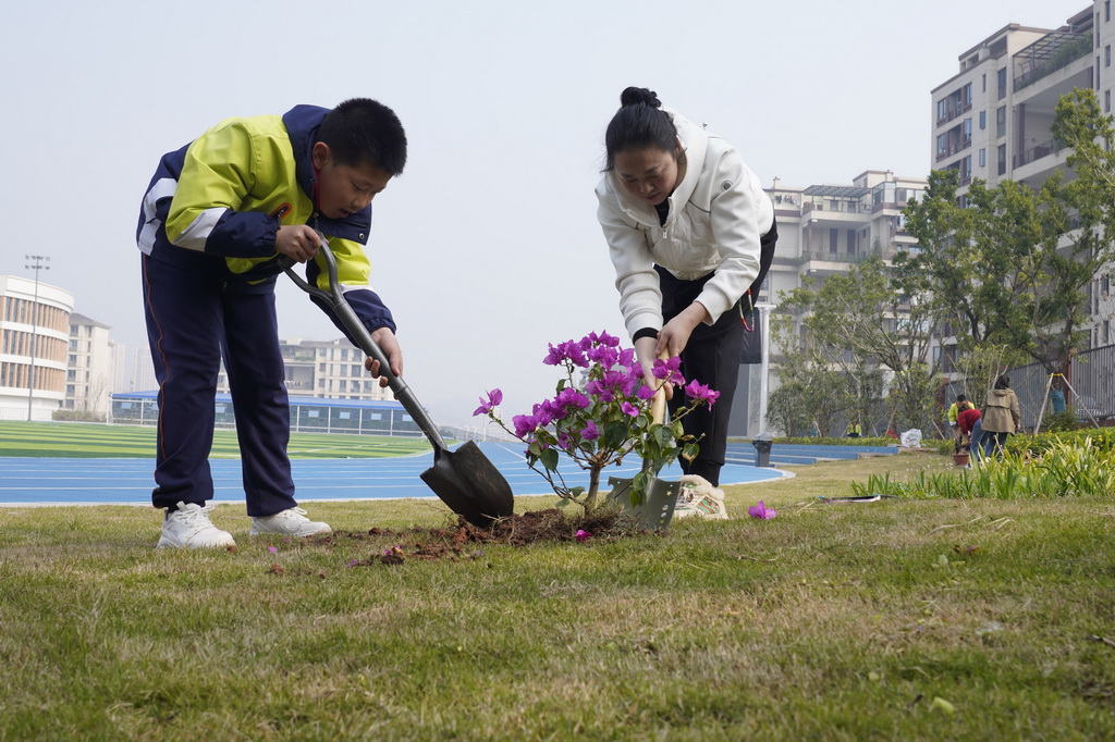 3月11日，在重慶市北碚區兩江春暉小學，家長帶著孩子在校園種植三角梅。新華社發（秦廷富攝）