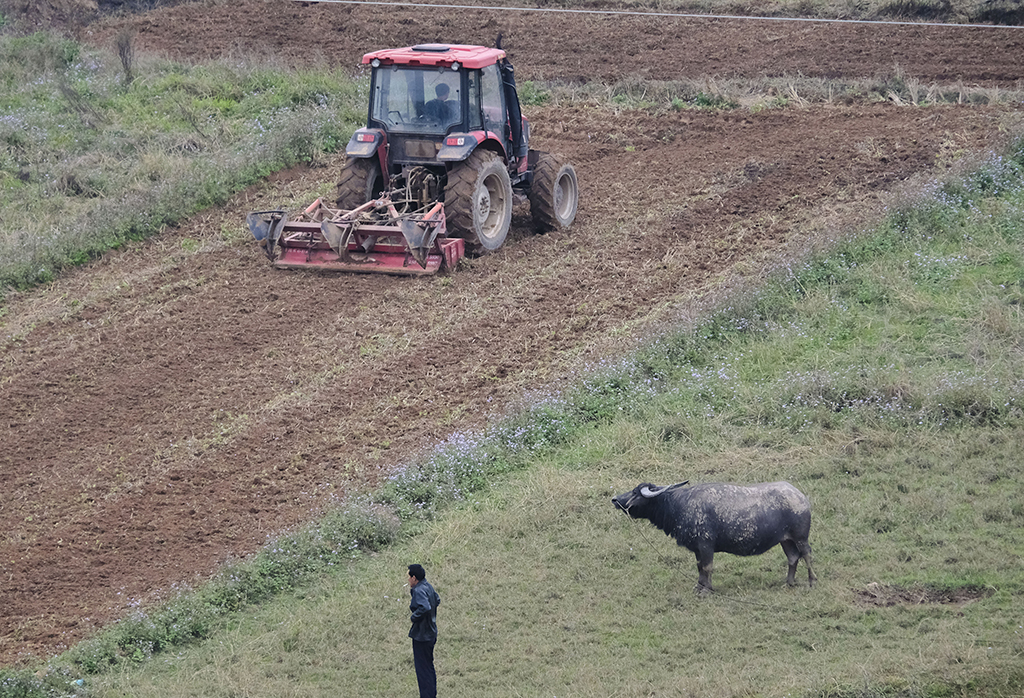 農民在南寧市邕寧區蒲廟鎮使用拖拉機耕田（2月17日攝）。新華社記者 周華 攝