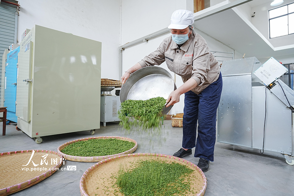 �㽭���壺���ƴ��衾8��