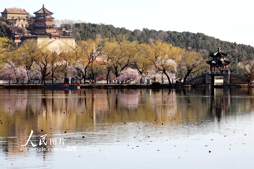 �������ú�԰���̴�ɫ����6��