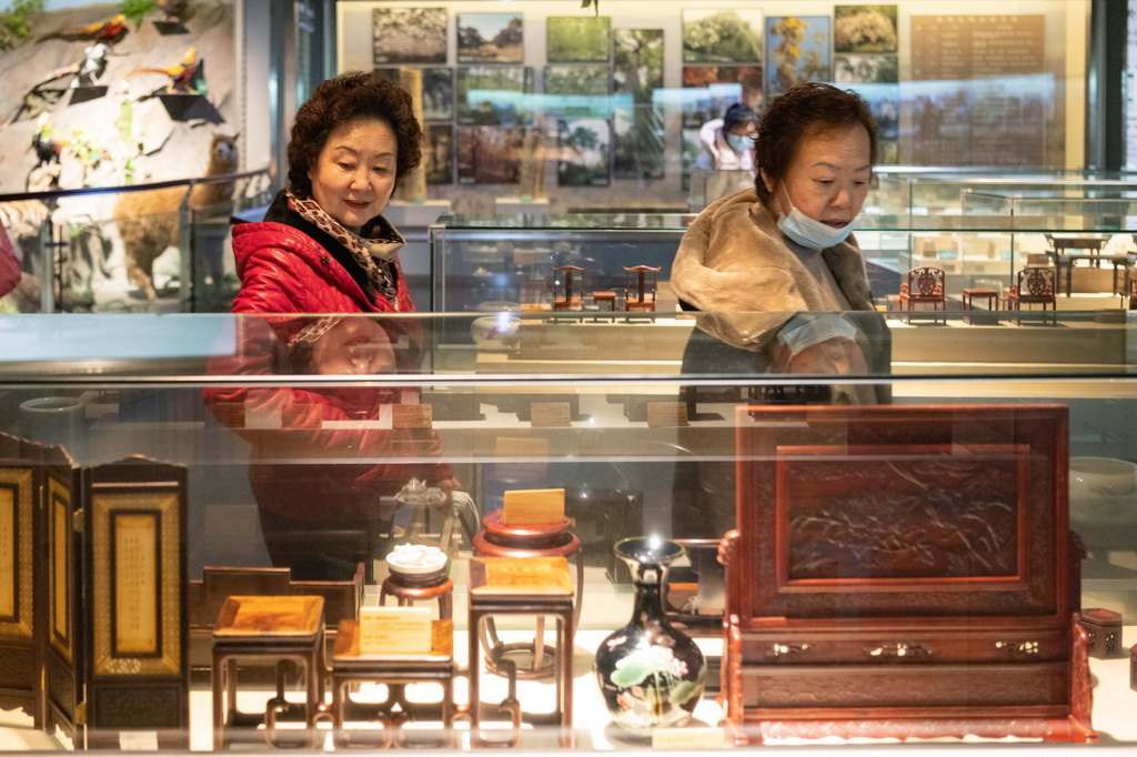 3月21日，游客在中國（哈爾濱）森林博物館內參觀。
