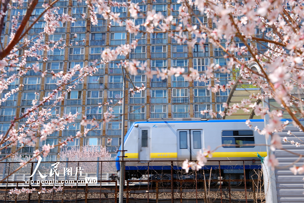 北京：開往春天的列車【4】