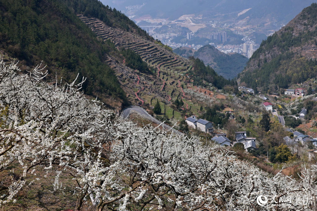 3��22�գ���������Ϫ��ͨ���򳤹��ʢ�������