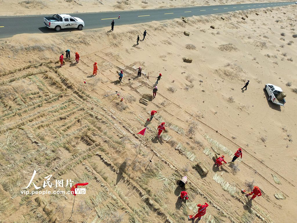 甘肅民勤：封沙育草護公路【2】