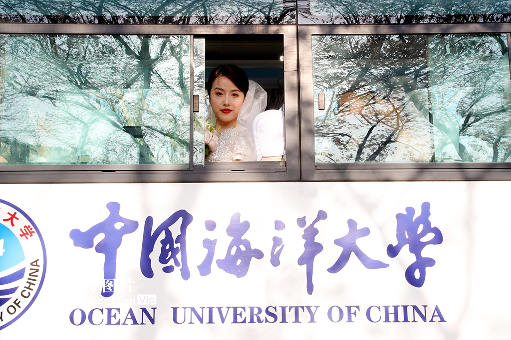 中國海洋大學為100對校友舉行集體婚禮【5】