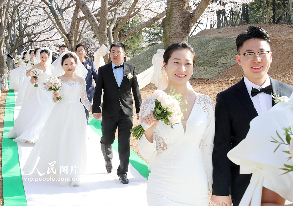 中國海洋大學為100對校友舉行集體婚禮【6】