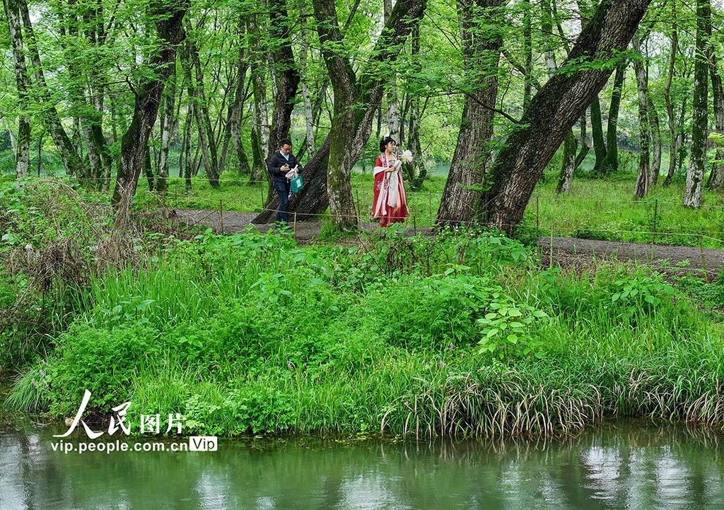 春意盎然的旅程，春意盎然之旅