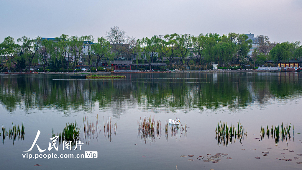 ����������ʪ�ع�԰�������⡾3��