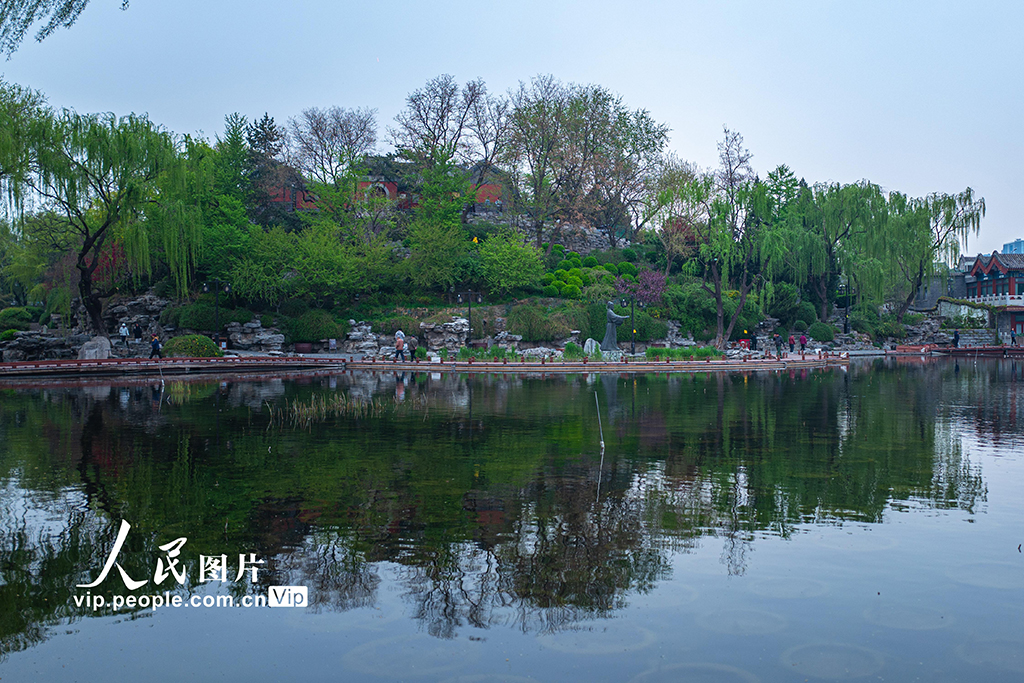 北京：城市濕地公園樂享春光【5】