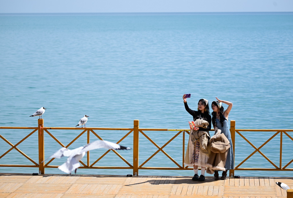 4月11日，游客在青海湖畔的東格爾觀魚台拍照。