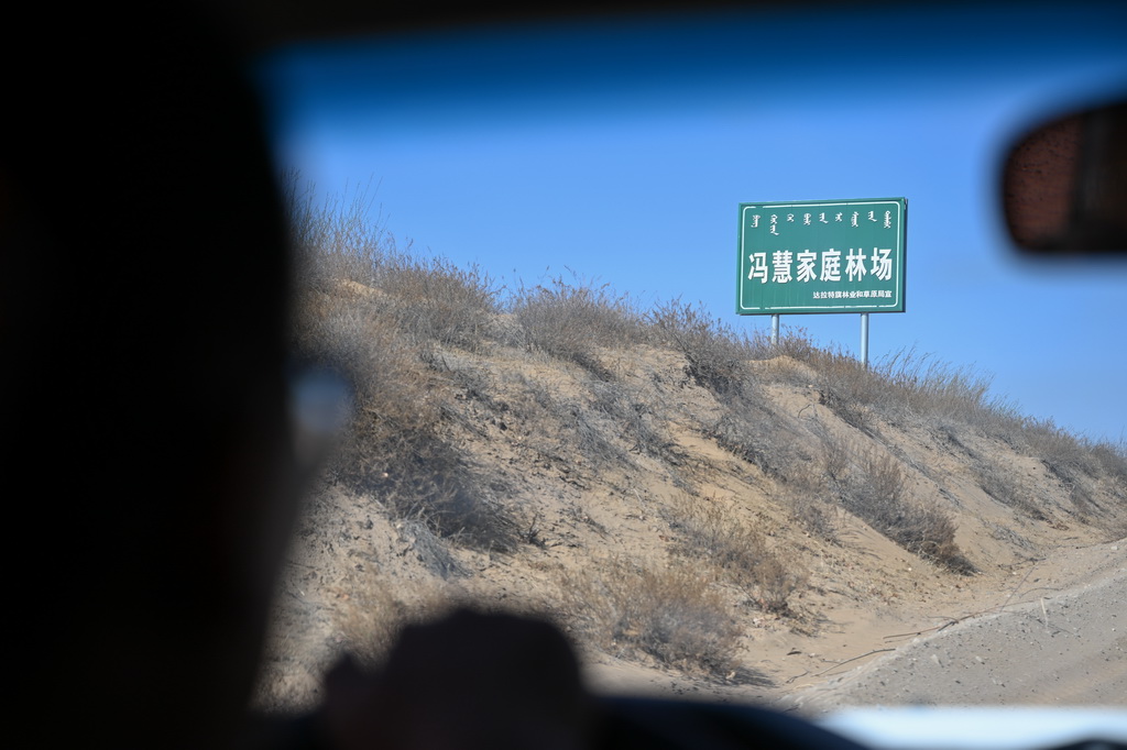 4月11日，馮慧駕車來到庫布其沙漠中的馮慧家庭林場。新華社記者 梁婉珊 攝