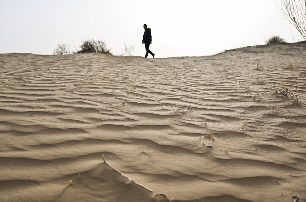 4月10日，馮慧行走在達拉特旗境內的庫布其沙漠裡。新華社記者 李志鵬 攝