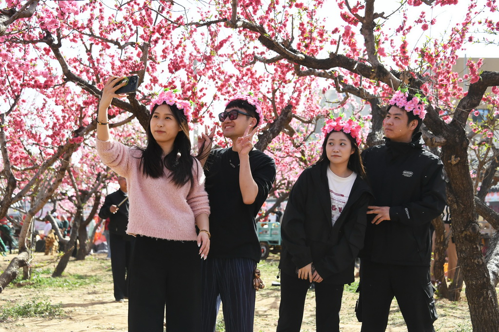 4月15日，市民在北京市平谷區大華山鎮欣賞桃花。