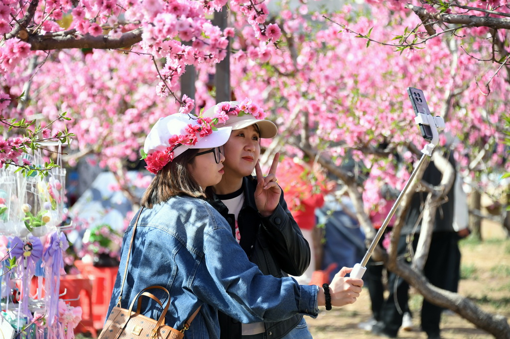 4月15日，市民在北京市平谷區大華山鎮賞花拍照。