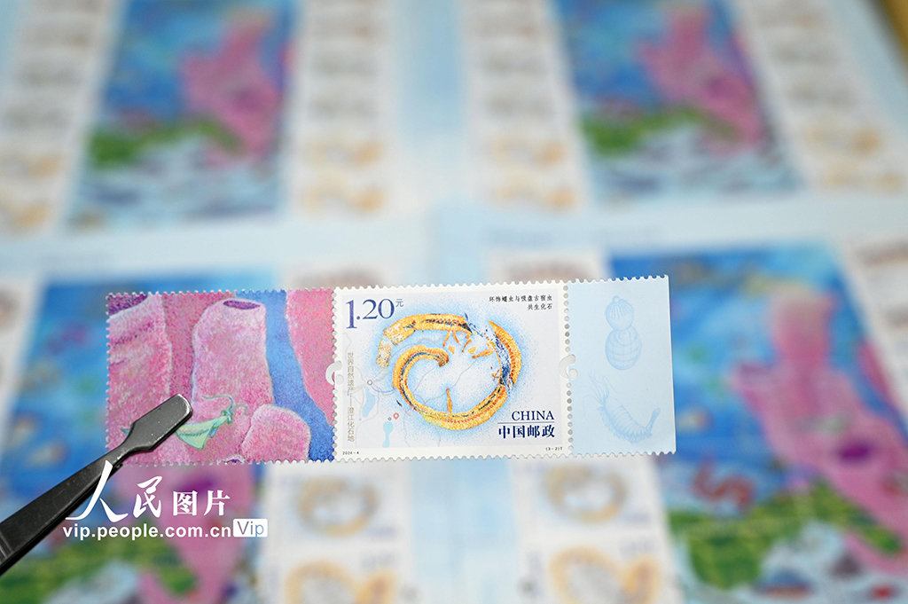 《世界自然遺產——澄江化石地》特種郵票發行【5】