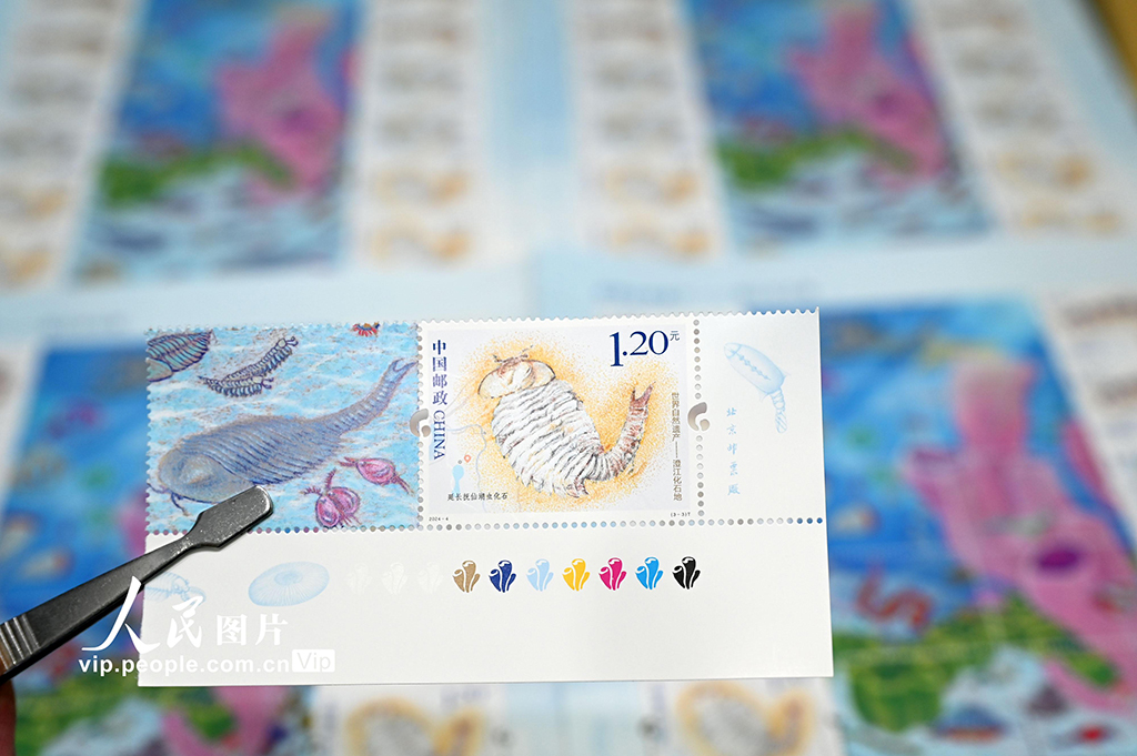 《世界自然遺產——澄江化石地》特種郵票發行【6】
