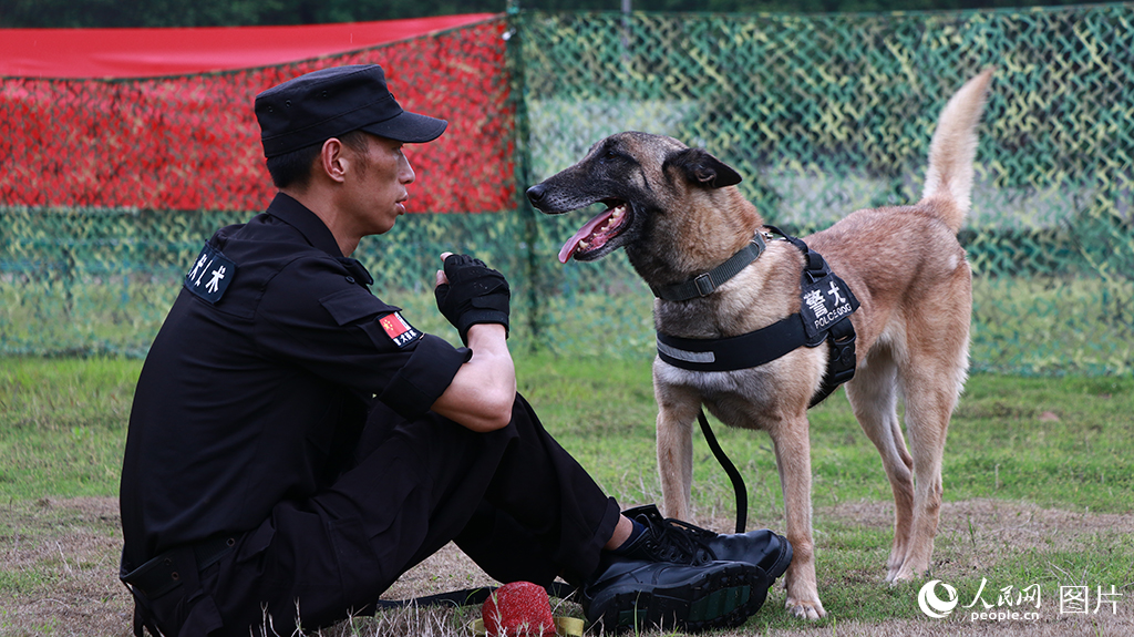 訓導員與警犬在訓練間隙休息。