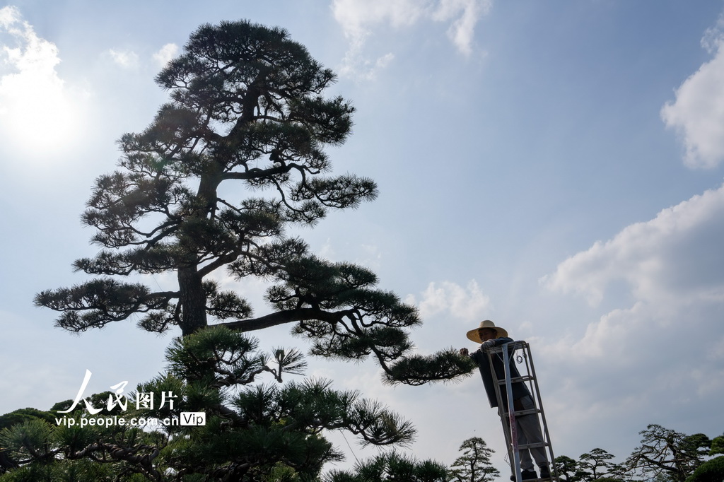 �㽭�𻪣��辰���� ��ɫ����4��