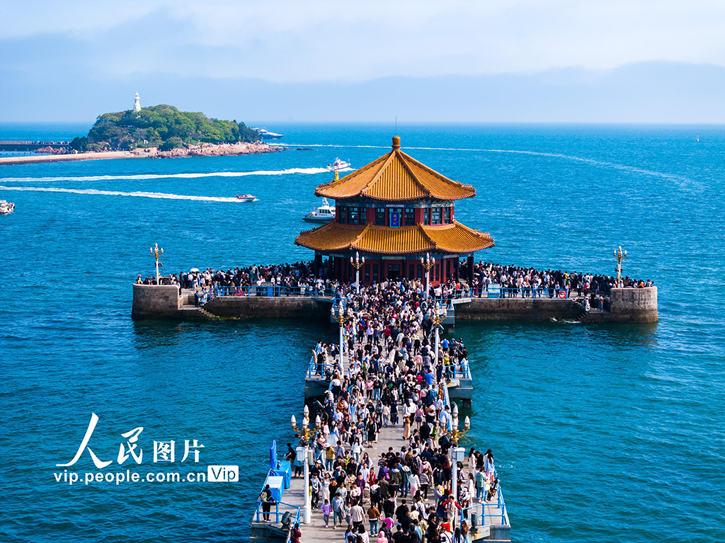 ɽ���ൺ��ջ�ž���������֯��5��