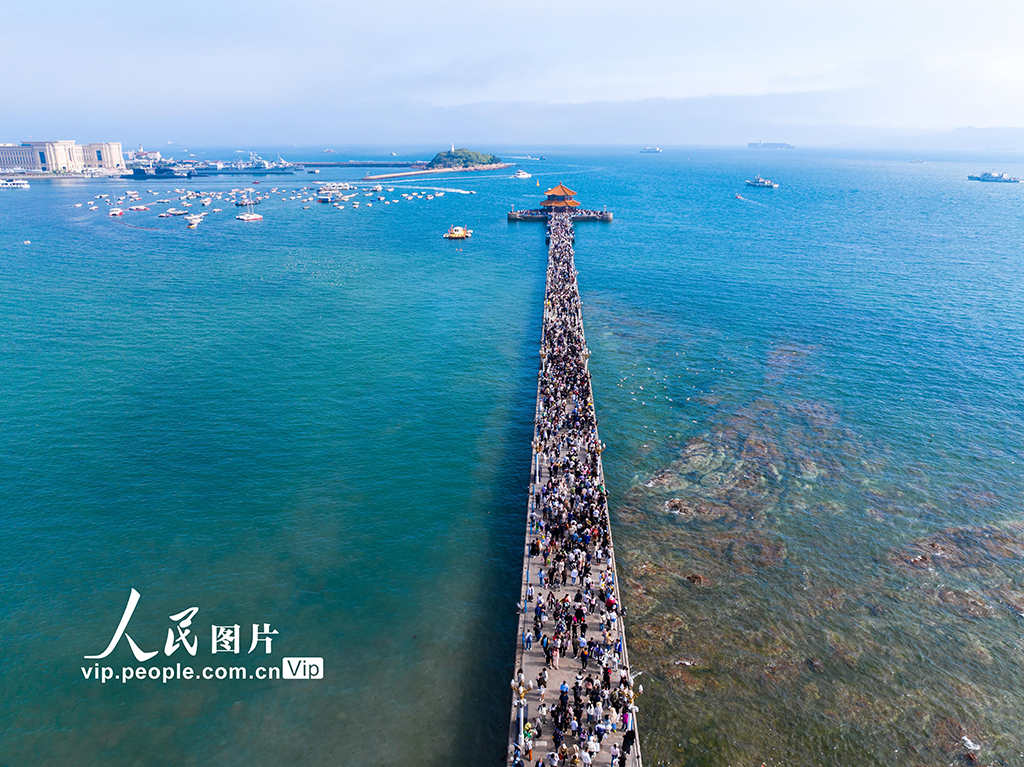 ɽ���ൺ��ջ�ž���������֯��7��