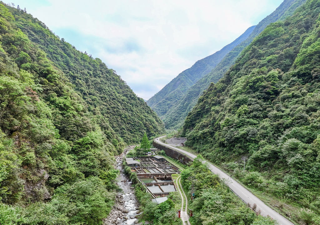 這是5月5日拍攝的四川省崇州市雞冠山冷水魚科研基地（無人機照片）。新華社記者 王曦 攝