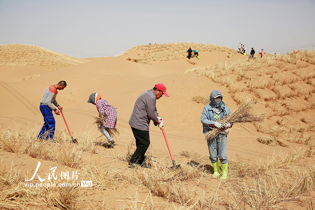 ������������ɳ��ɳ �̻���԰��4��