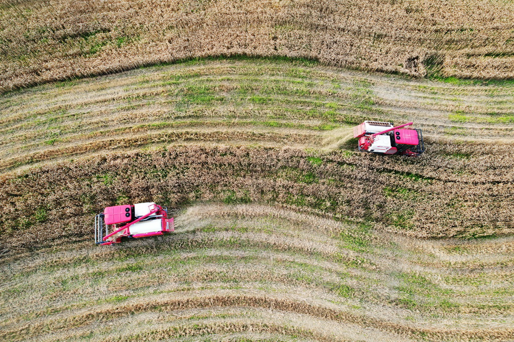 5月13日，在四川省達州市渠縣貴福鎮黃泥社區，收割機在收割小麥（無人機照片）。新華社發（鄧良奎攝）