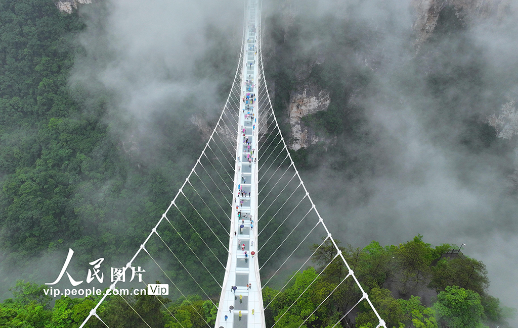 �����żҽ磺�������й������ա���2��