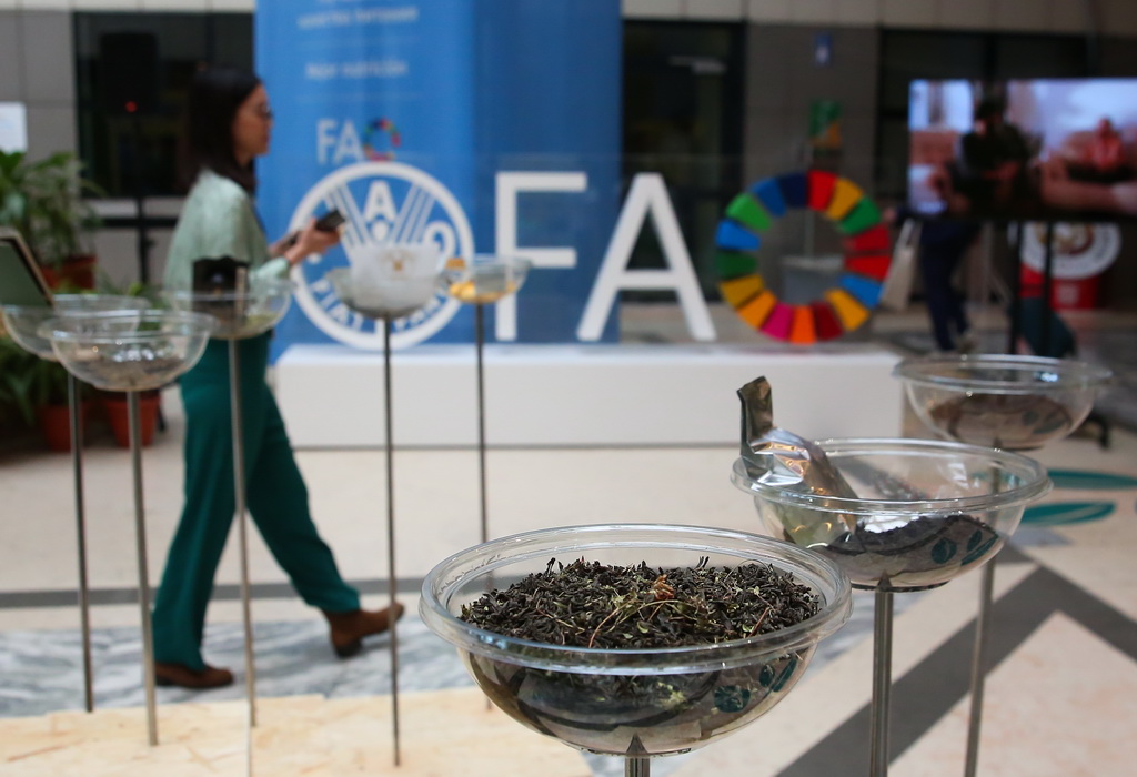 5月21日，參觀者在位於意大利羅馬的聯合國糧農組織總部經過茶葉展品。