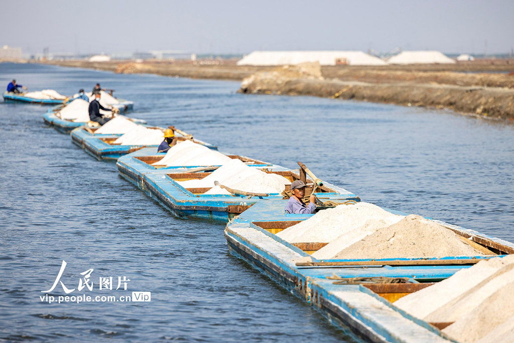  Tangshan, Hebei: busy harvesting salt in spring