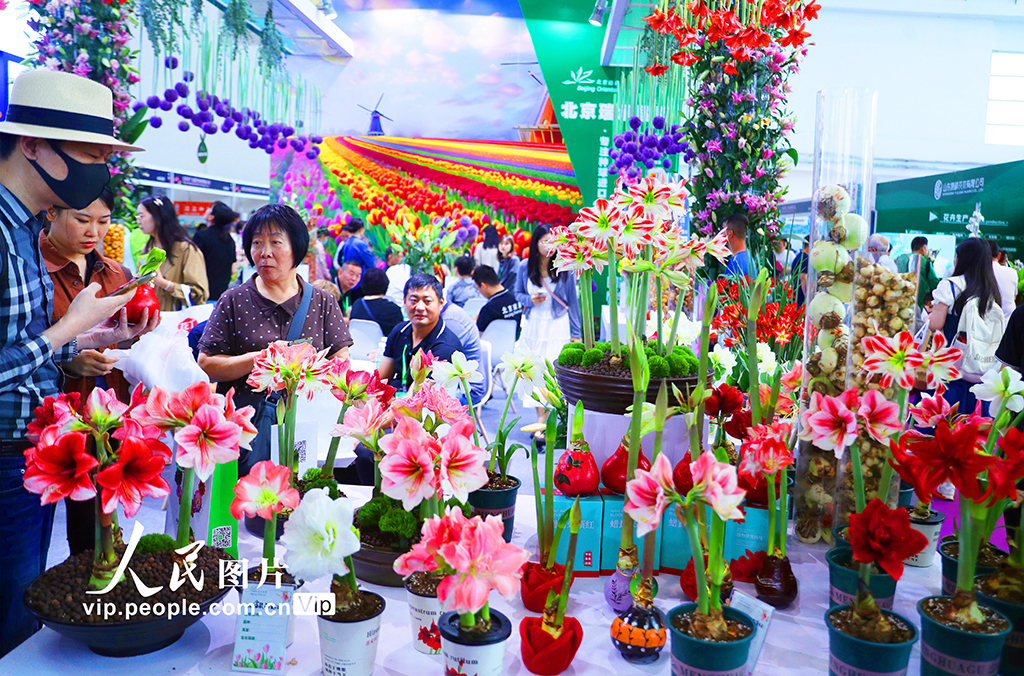北京：第二十六屆中國國際花卉園藝展覽會舉行【2】