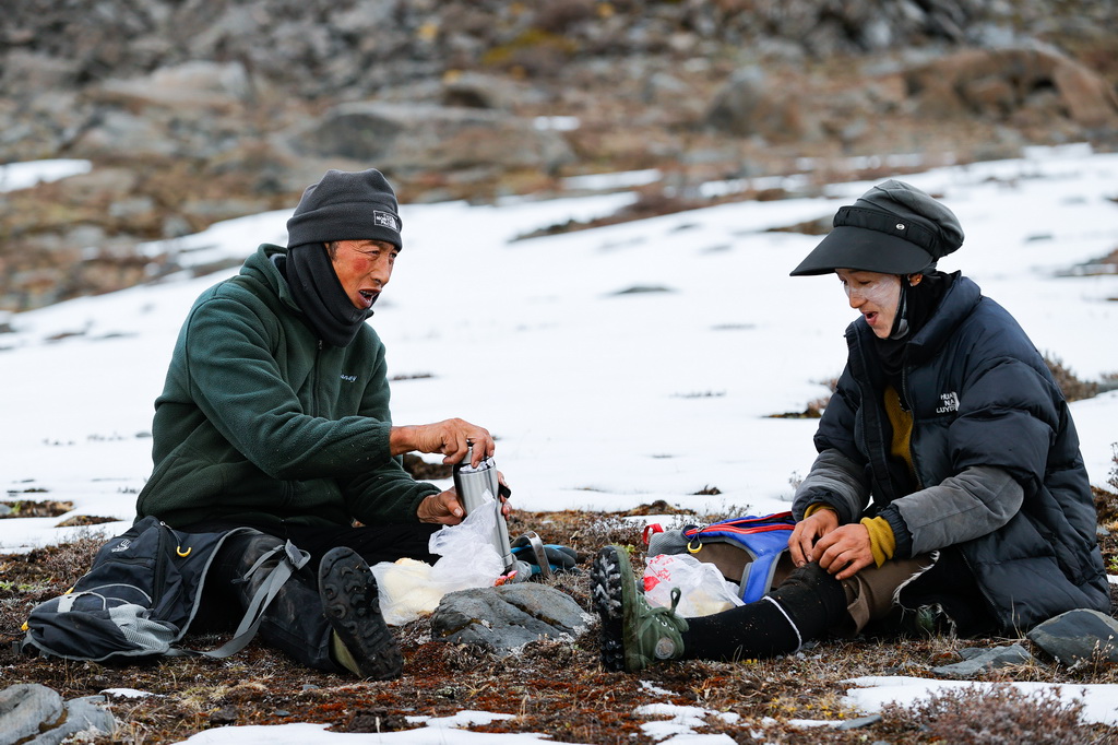 沙德鎮沙德村村民尼瑪拉姆（右）和哥哥扎西旺秋在四川省甘孜藏族自治州康定市沙德鎮的草山上挖虫草的間隙吃午飯，稍事休息（5月23日攝）。