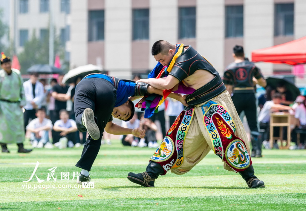5月30日，呼和浩特民族學院的學生在那達慕文化節上參加搏克比賽。
