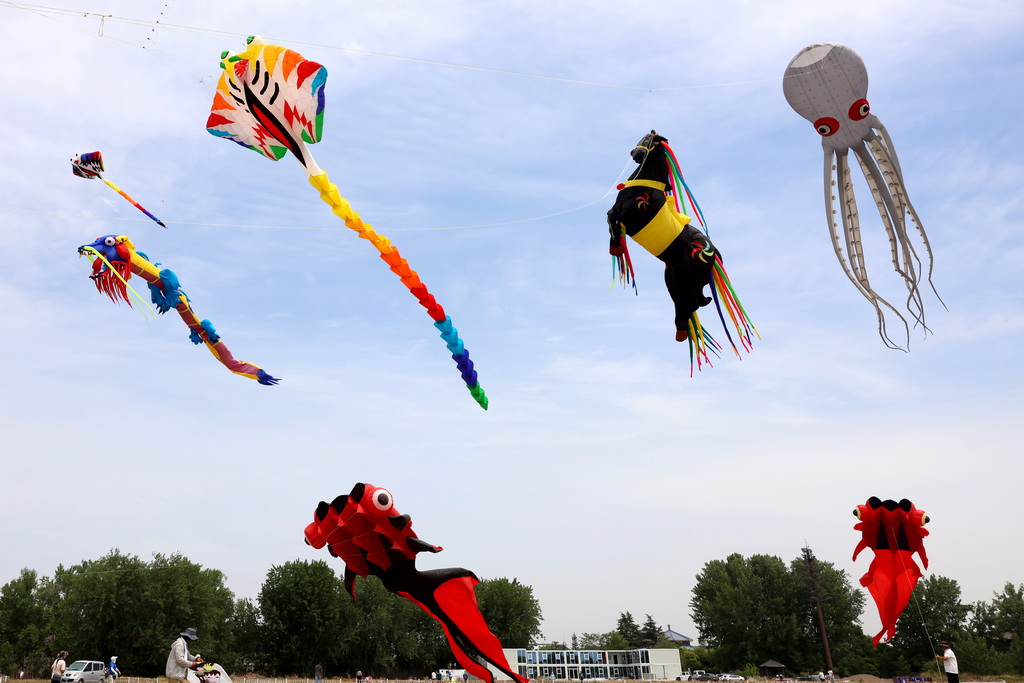 6月2日，参赛选手在比赛现场放飞风筝。